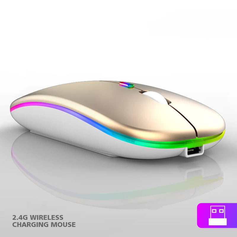 2.4G Wireless Mouse RGB Colorful Mouse Rechargeable Mouse Silent Mouse USB Gaming Mouse Mice 1600DPI for PC Laptop Macbook Pro